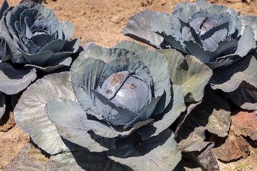 Similar image 13105814