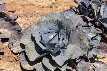 Similar image 13105829