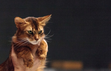 Similar image 13105830