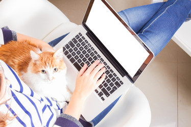 Similar image 13089210