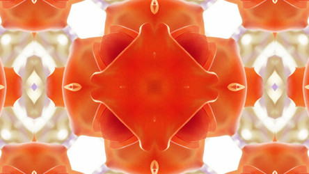 Similar image 13073211