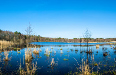 Similar image 13097042