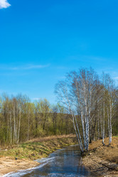 Similar image 13097045