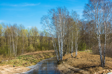 Similar image 13097047