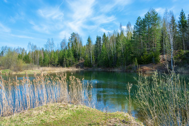 Similar image 13097049