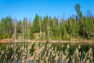 Similar image 13097050