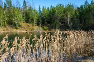 Similar image 13097051