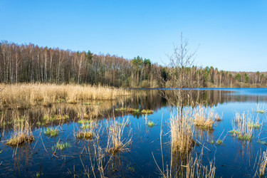 Similar image 13097065