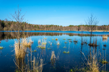 Similar image 13097066