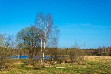 Similar image 13097068