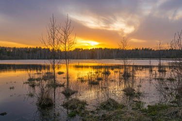 Similar image 13097069