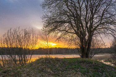 Similar image 13097070