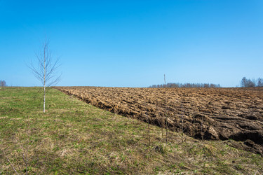 Similar image 13097021