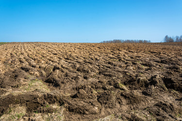 Similar image 13097022