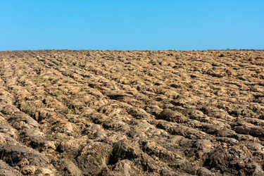 Similar image 13097023