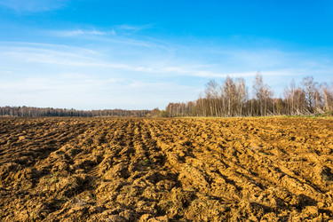 Similar image 13097024