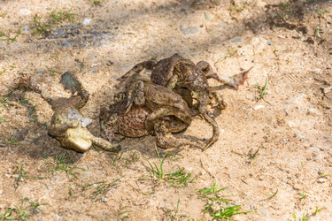 Similar image 13097055