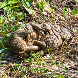 Similar image 13097056