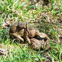 Similar image 13097057