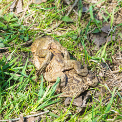 Similar image 13097058