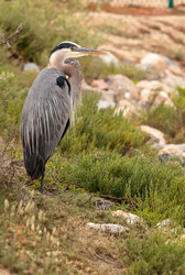 Similar image 13099616