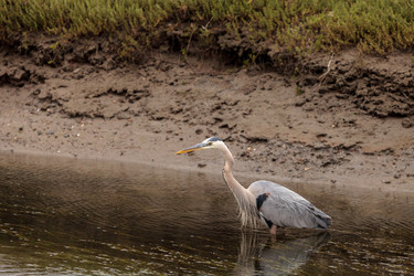 Similar image 13099629