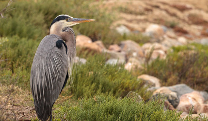 Similar image 13099630