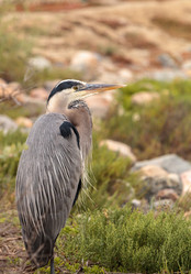 Similar image 13099667