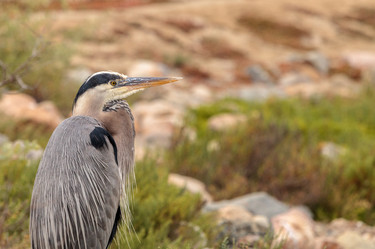 Similar image 13099668