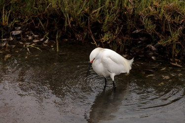 Similar image 13105596