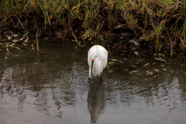 Similar image 13105616