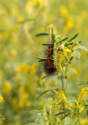 Similar image 13105654