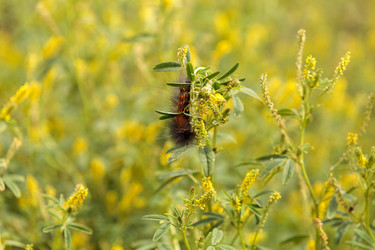 Similar image 13105655