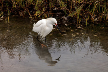 Similar image 13105656