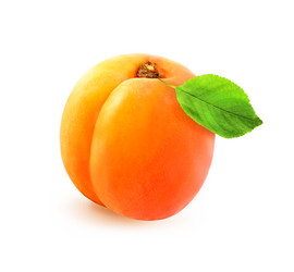 Similar image 13078048