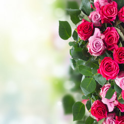 Similar image 13089198