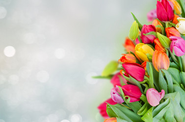 Similar image 13089200