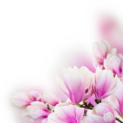 Similar image 13089228