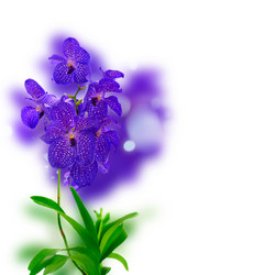 Similar image 13089230