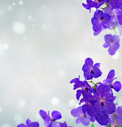 Similar image 13089231