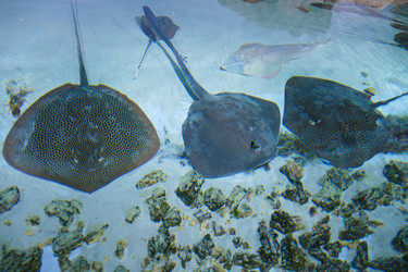 Similar image 13106799