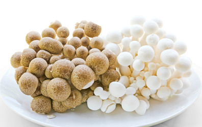 Similar image 13076796