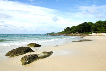 Similar image 13076797