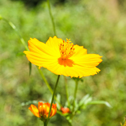 Similar image 13081561