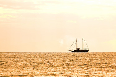 Similar image 13081562