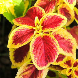 Similar image 13081563