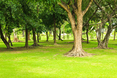 Similar image 13076840