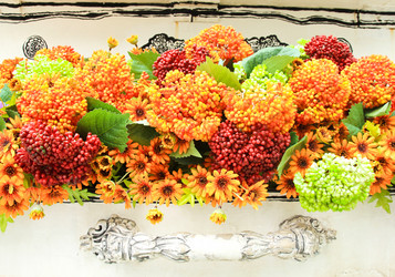 Similar image 13076801