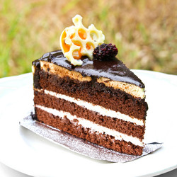 Similar image 13104805