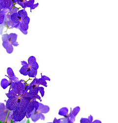 Similar image 13089186